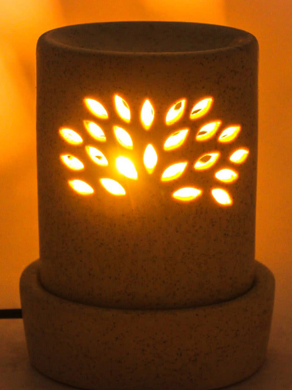 Electric Diffuser