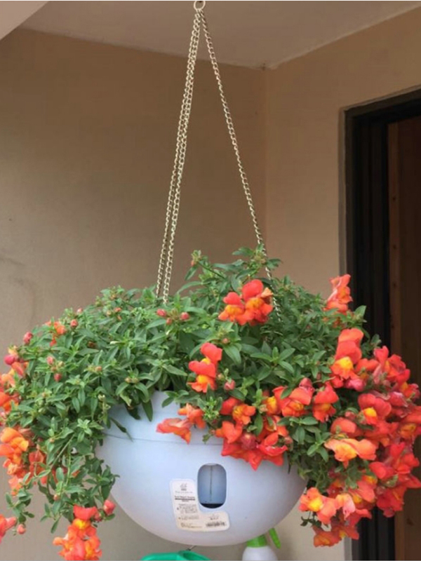Hanging Pots
