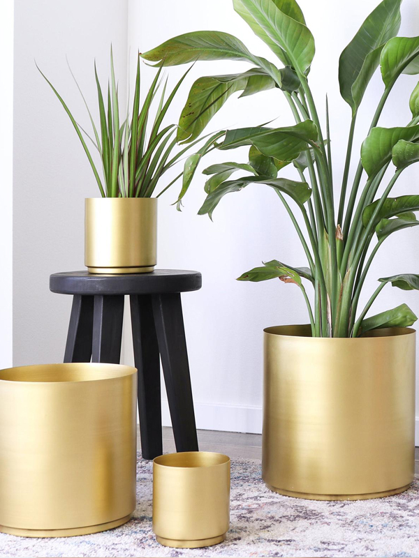 Indoor Pots