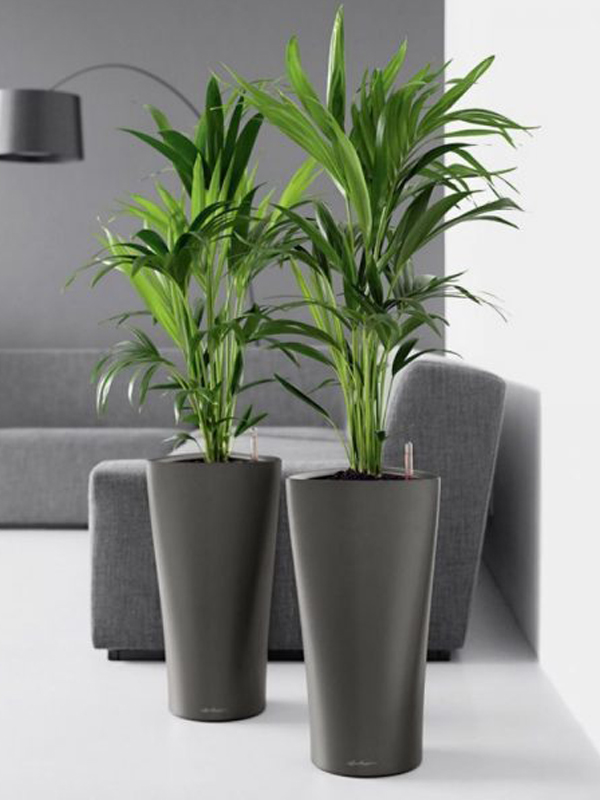 Indoor Pots
