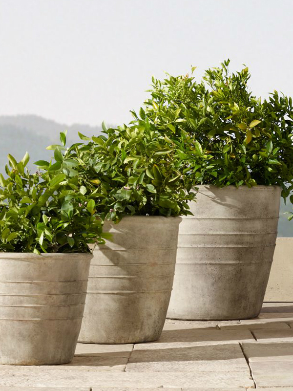 Outdoor Pots