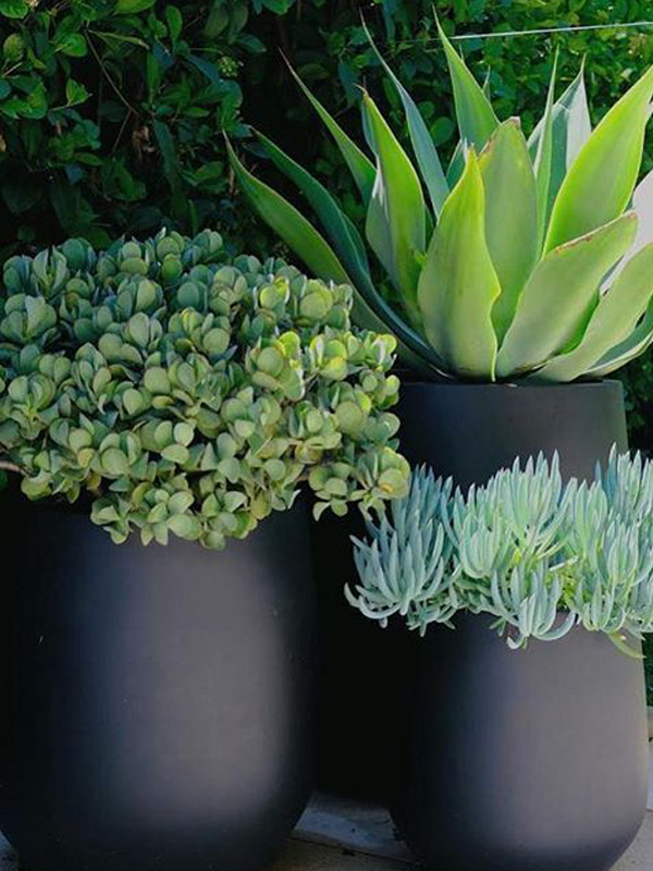 Outdoor Pots