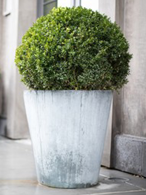 Outdoor Pots