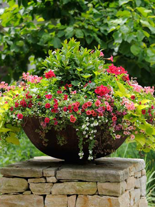 Outdoor Pots