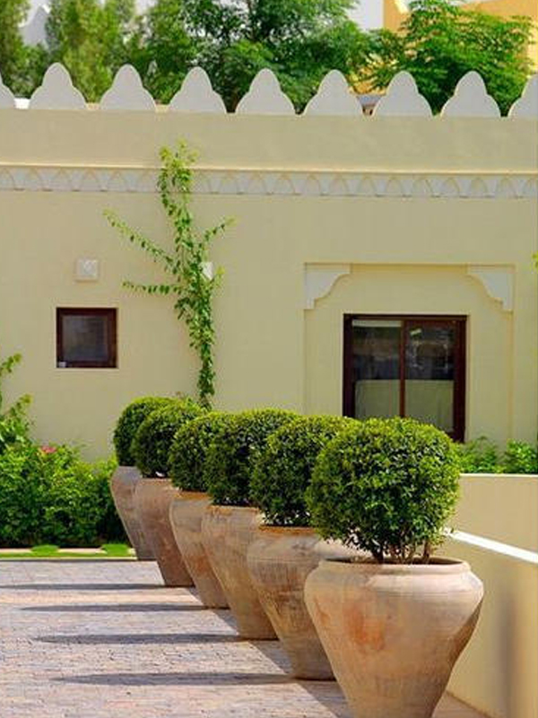 Outdoor Pots