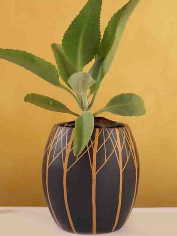 Pots and Planters