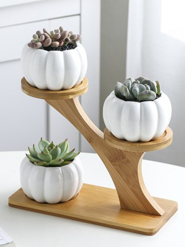 Set of Pots